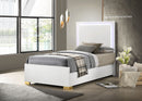 Marceline Beds