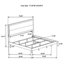 Trenton Beds