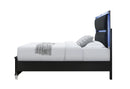 Lando Black Bed with Continuous LED