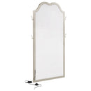 Evangeline Floor Mirror with LED Lighting