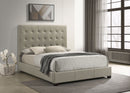 Medley Panel Platform Bed