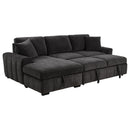 Pastrana Pull-Out Sleeper Sectional Sofa