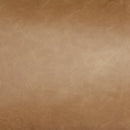 Danvale Pillow (Set of 4)