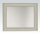 Acme Francesca Mirror in Champagne 62086