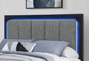 Emma Bed with LED and USB