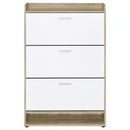 Denia Shoe Cabinet